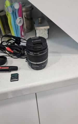 stock