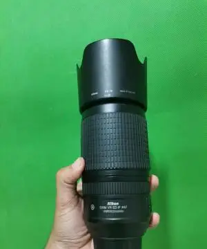 stock