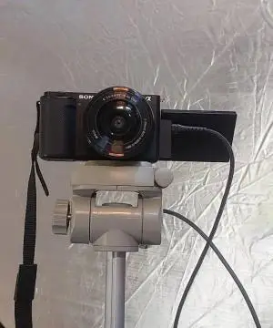 stock