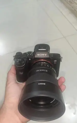 stock