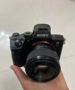 stock