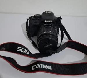 stock