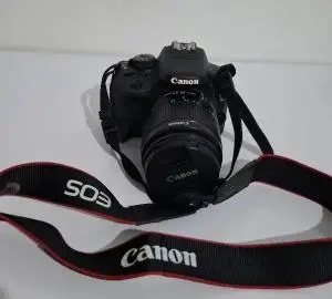 stock
