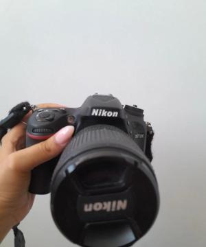 stock