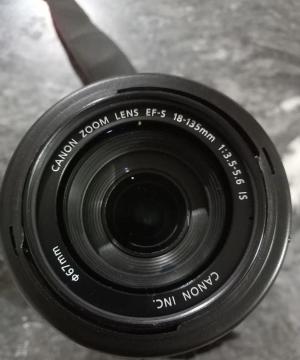 stock