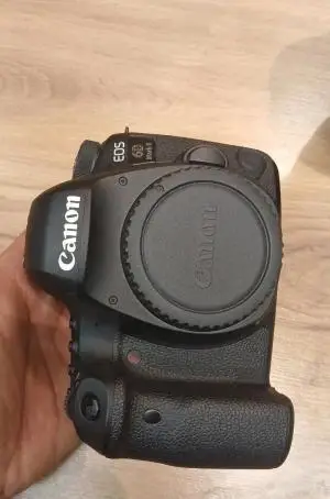 stock