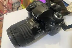 stock