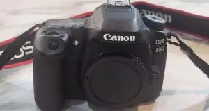 stock