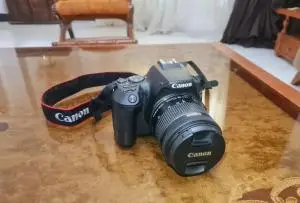 stock