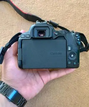 stock