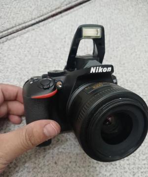 stock