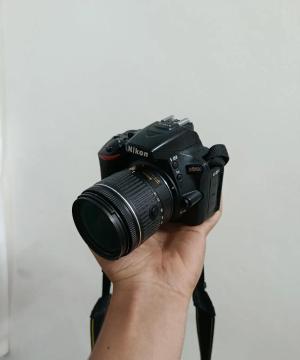 stock