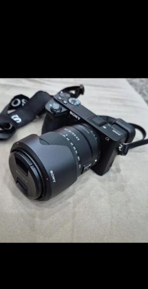 stock