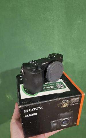stock