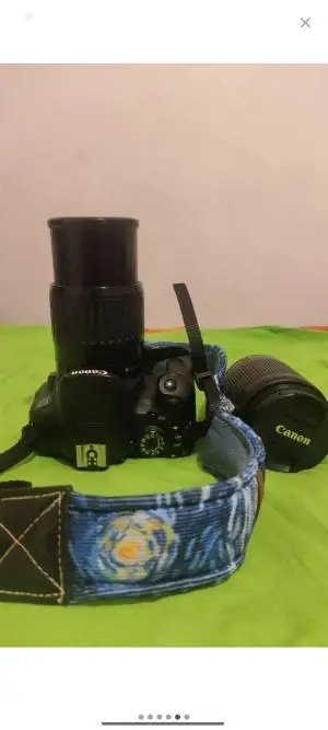 stock