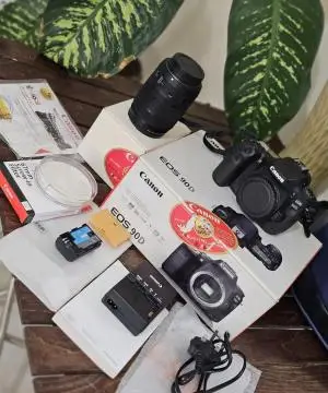 stock