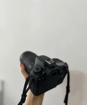 stock