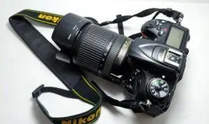 stock