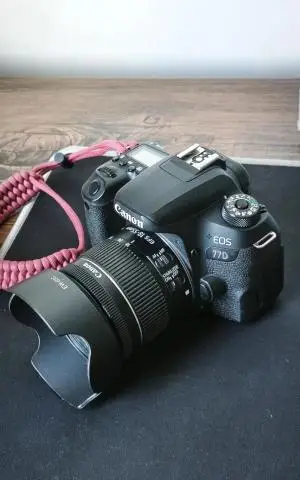 stock