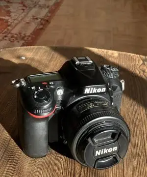 stock
