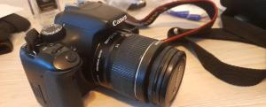 stock