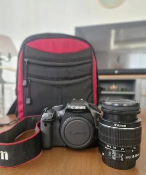 stock