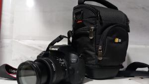 stock
