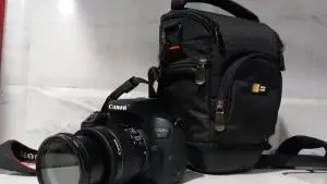 stock