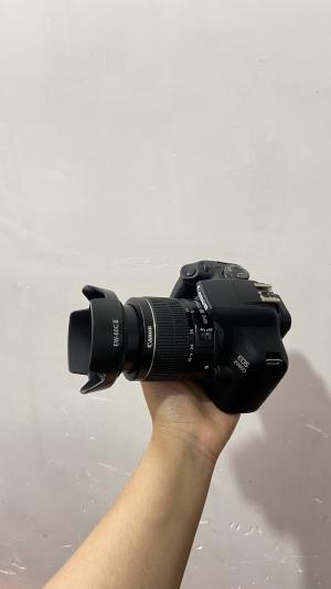 stock