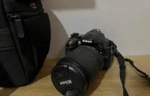 stock