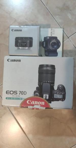 stock