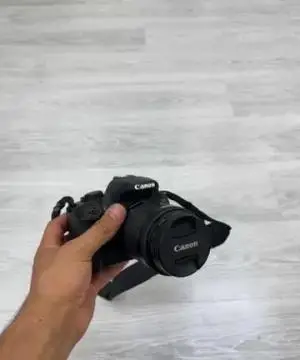 stock