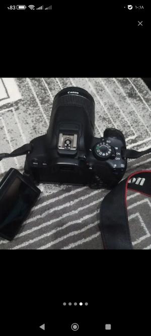 stock