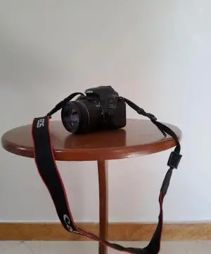 stock