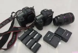 stock