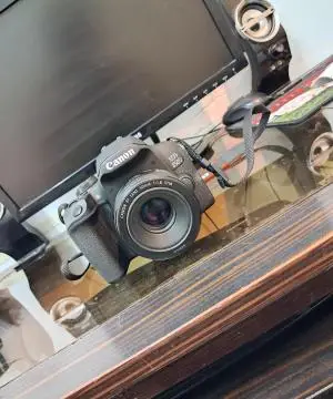 stock