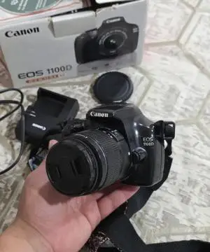 stock