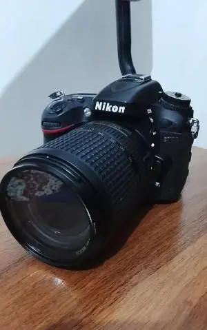 stock