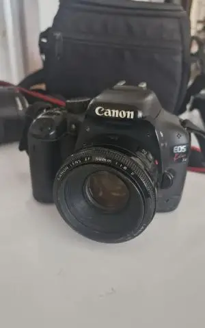 stock
