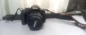 stock