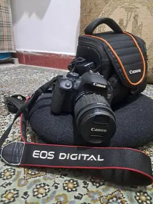 stock