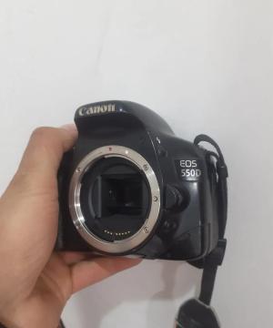 stock