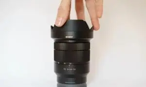 stock