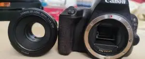 stock