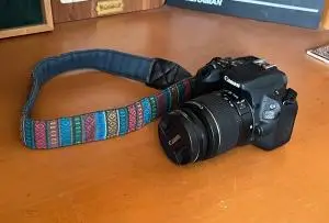 stock