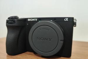 stock