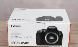 stock