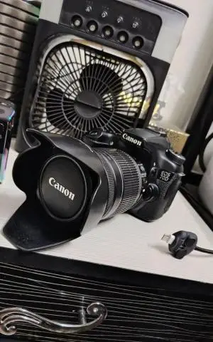 stock