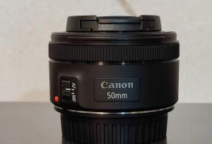 stock