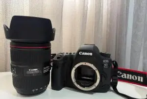 stock